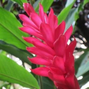 Meet your Posher, Shari